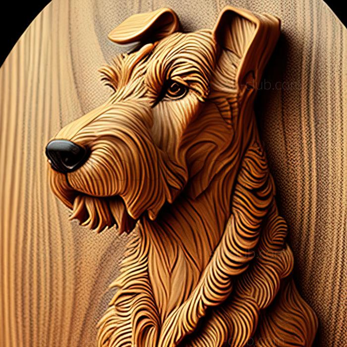 st Airedale Terrier dog